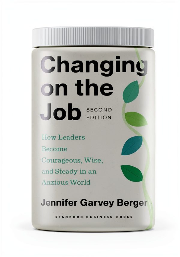 Stanford Business Books Organizational Learning Kindle-0